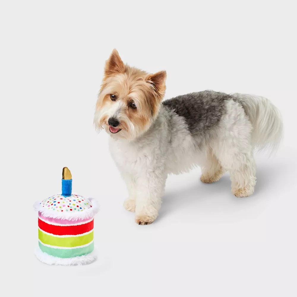 Birthday Cake Shaped Plush Dog Fetch Toy