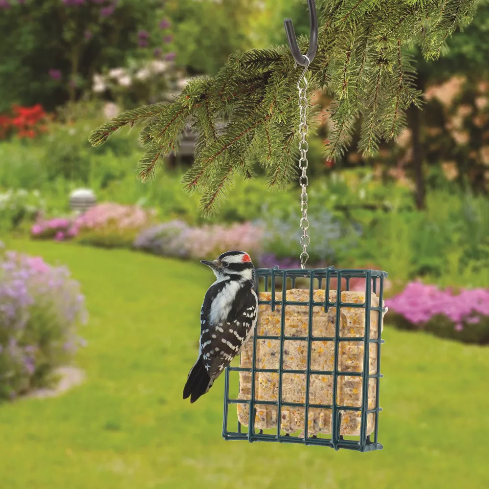 Hanging Metal Wild Bird Suet Birdcage