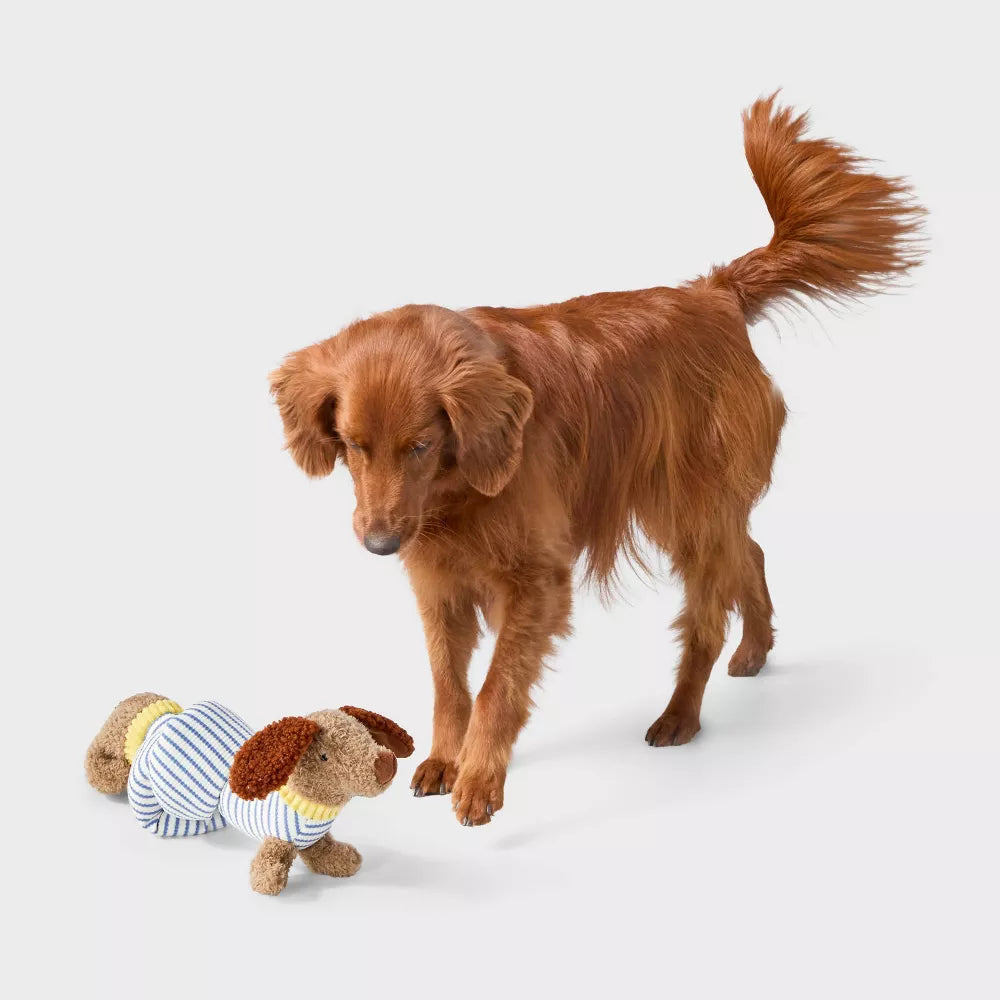 Dachshund Knotted Squeaky Plush Dog Tug & Cuddle Toy